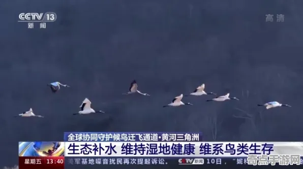 刚刚探险队重要记录:鸟类迁徙奇迹数据分析 刚刚探险队重要记录:鸟类迁徙奇迹数据分析
