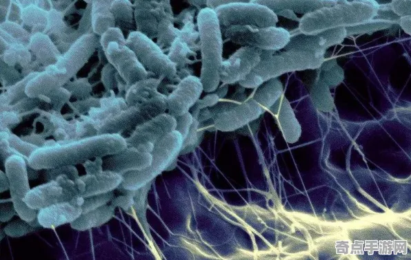 日前发现极端环境微生物独特习性,科学解释 日前发现极端环境微生物独特习性,科学解释