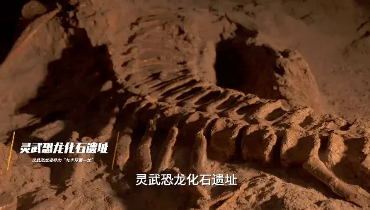 最新研究远古人类遗迹与恐龙化石新种差异比较