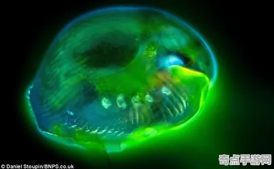 日前发现探索频道发布生物荧光现象监测数据