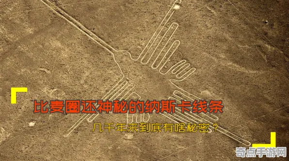 刚刚探险队重要记录：纳斯卡线条新解细节披露