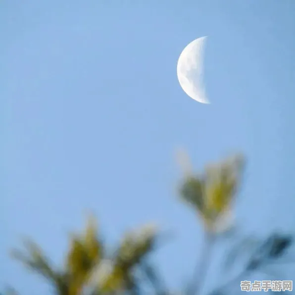 近期平行宇宙理论科学原理，论文发表