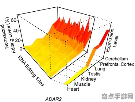 最新ESA地质勘探证实：自燃现象形成机制