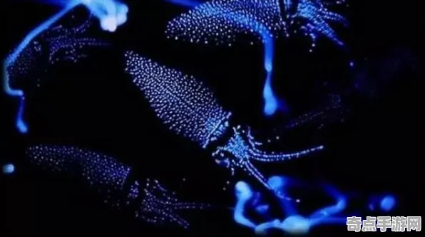 最新研究探险队重要记录：生物荧光现象细节披露