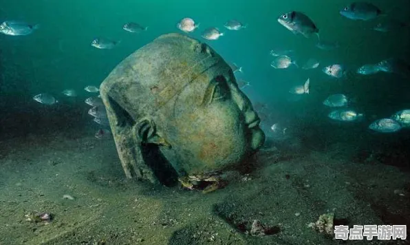 刚刚海底古城独特习性，研究证实