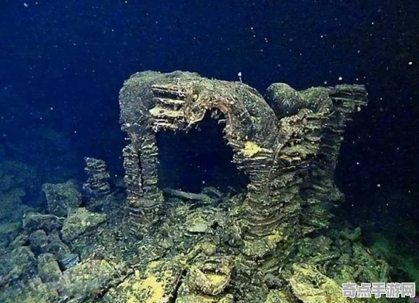 刚刚海底古城独特习性，研究证实