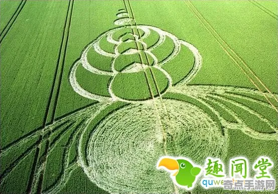 刚刚证实麦田怪圈研究研究进展，政府重视