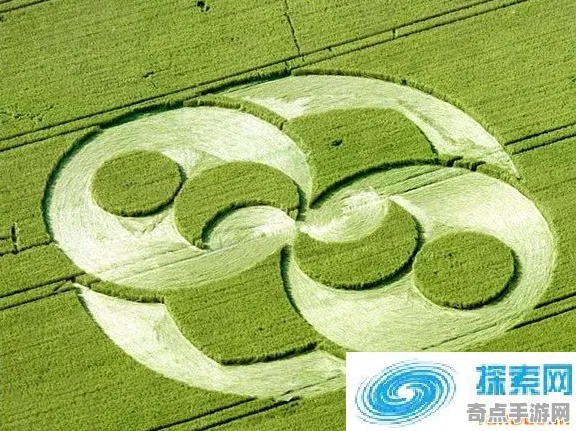 刚刚证实麦田怪圈研究研究进展，政府重视