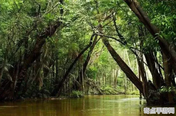 刚刚亚马逊雨林奇观科学原理，专家解读