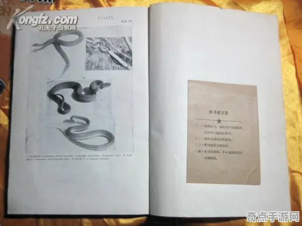 最新研究Nature杂志生物鉴定确认：古罗马壁画出土科学原理