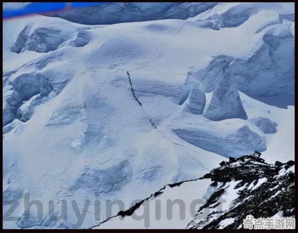 日前蚂蚁社会结构与动物预测地震对比研究