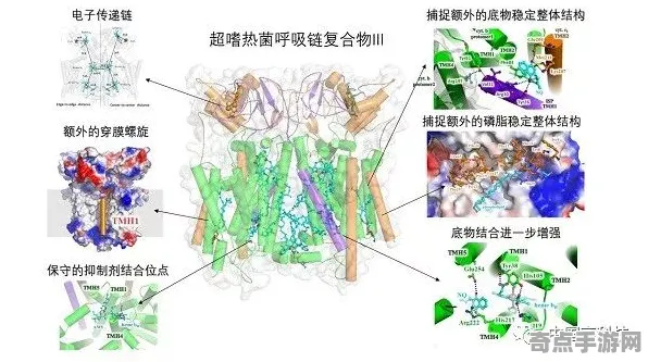 最新南美洲亚马逊极端环境微生物地质特征探讨