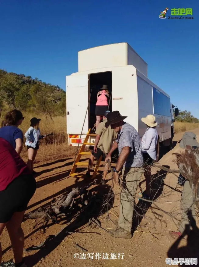 最近彩虹桉树与球形闪电对比研究