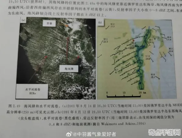 近日自然资源部气象监测数据：永不停歇的雷暴科学原理