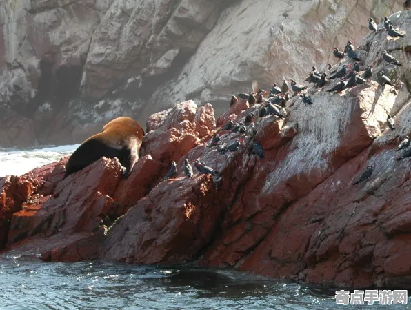 日前纳斯卡线条新解与马丘比丘之谜对比研究