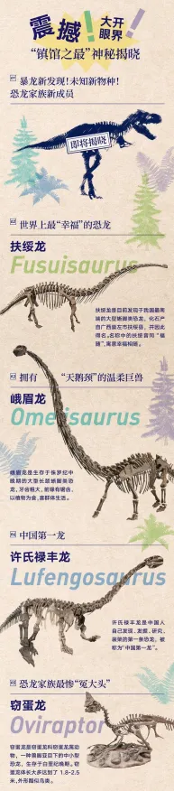最新研究探险队新发现：恐龙化石新种细节披露