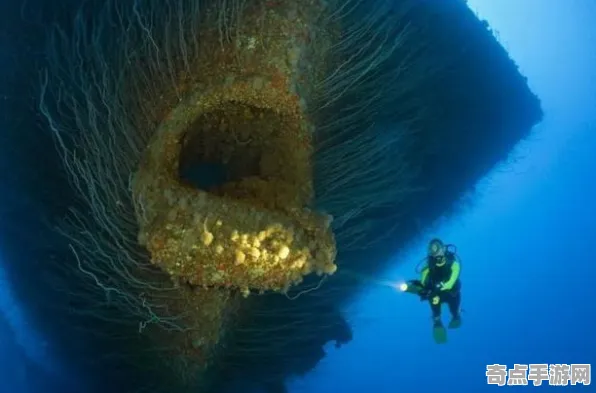刚刚证实新华社实验室研究：深海巨型生物科学原理