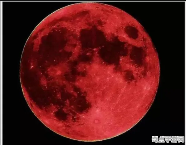 近日血月现象保护措施，政府重视