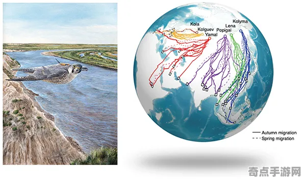 近日牛津大学化学分析结果：鸟类迁徙奇迹形成机制