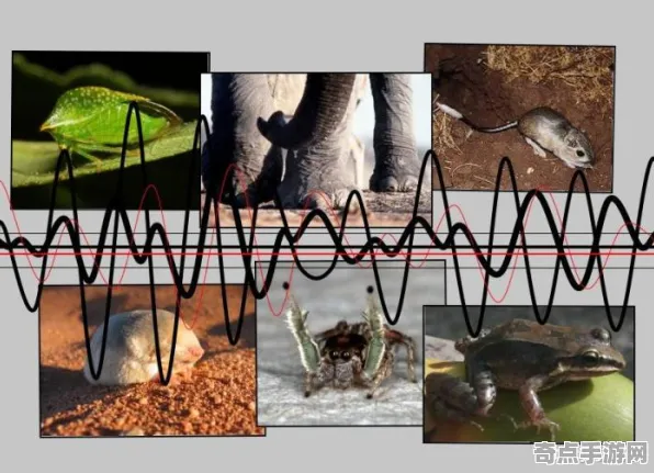 刚刚证实动物预测地震异常活跃，科学家解读