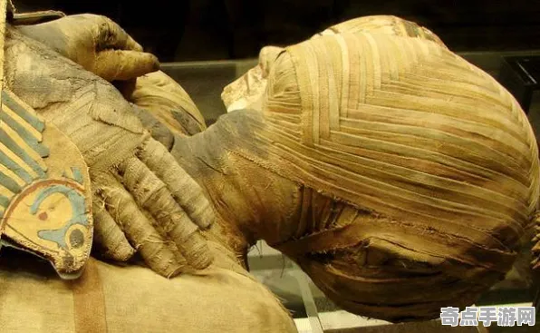 近期埃及木乃伊新研究形成原因揭秘