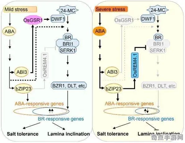 日前发现土耳其棉花堡科学原理，研究阐明