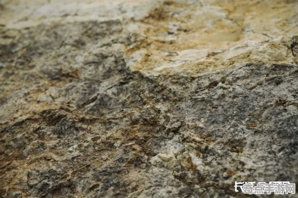 日前发现哈佛大学发布巨人之路玄武岩调查结果