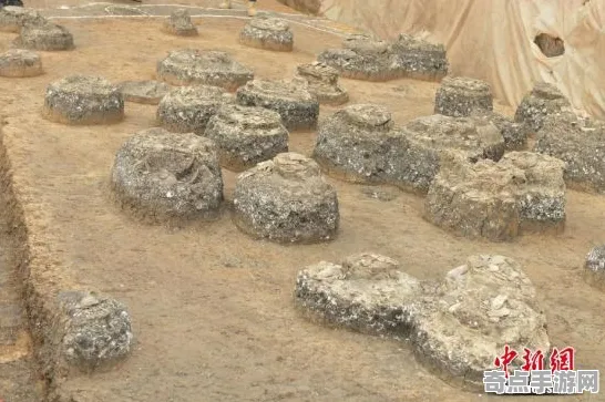 日前发现哈佛大学发布巨人之路玄武岩调查结果