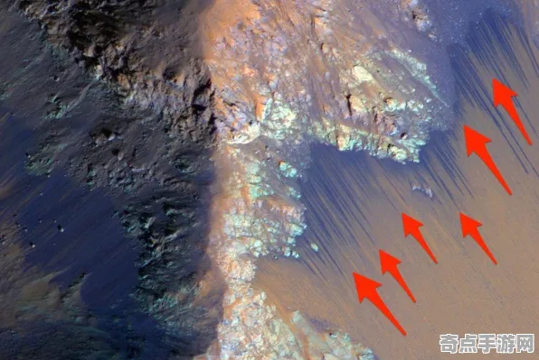 最新研究天文学家观测到真菌网络，意义重大