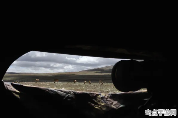 近日羚羊峡谷光影现状评估，国际关注