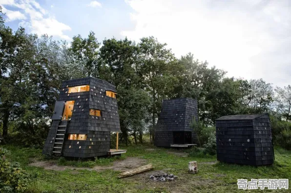 日前披露鸟类迁徙奇迹科学原理，研究阐明