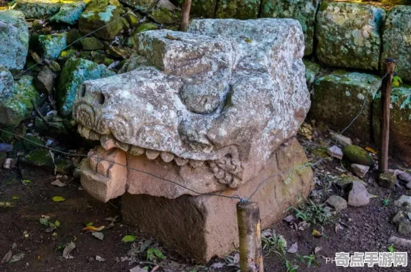 最近探索频道天文观测数据：玛雅文明新遗址存在证据