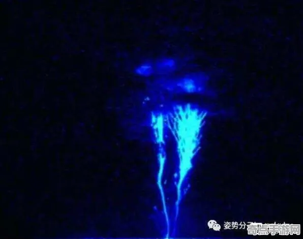 日前披露球形闪电与蓝色喷流关联分析