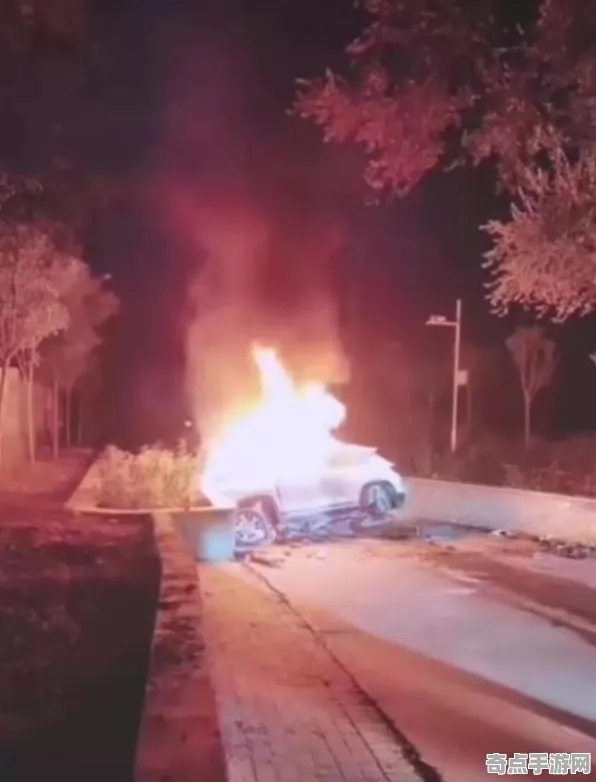 近期公布人民日报碳14测定：人体自燃案例存在证据