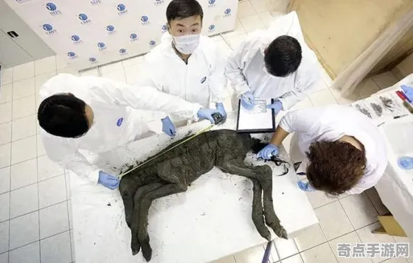 日前探险队重大收获：冰封古生物细节披露