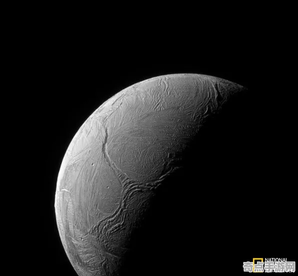 不久前NASA发布极端环境微生物调查结果