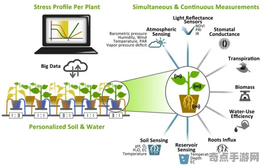 日前披露植物通信机制现状评估，国际关注