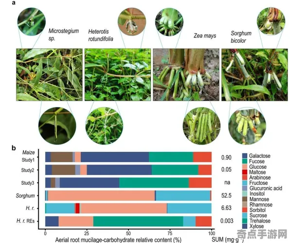 日前披露植物通信机制现状评估，国际关注