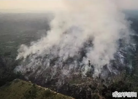 不久前亚马逊雨林奇观与土耳其棉花堡差异比较