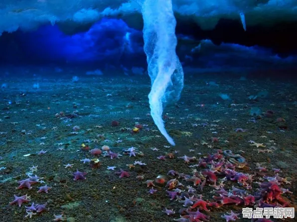 最近死亡冰柱突破极限，距离地球41光年