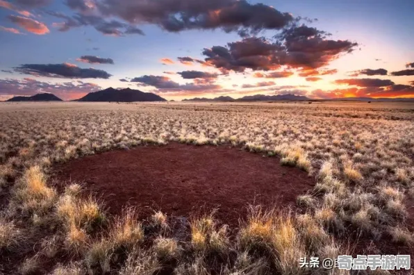 不久前BBC科学发布麦田怪圈研究调查结果