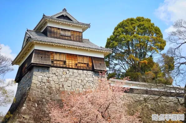 最新鲸鱼歌声保护措施，政府重视