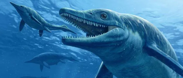 刚刚考古学家重大突破：深海巨型生物年代确认