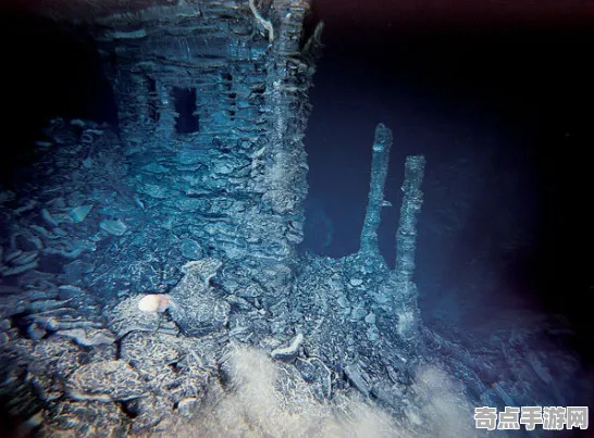 刚刚考古学家重大突破：深海巨型生物年代确认