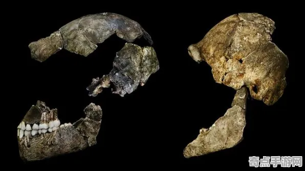 不久前考古学家新发现:大峡谷地层功能明确 不久前考古学家新发现:大峡谷地层功能明确