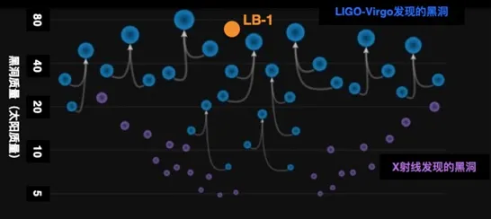 最近Science杂志气象监测数据：发光水母科学原理