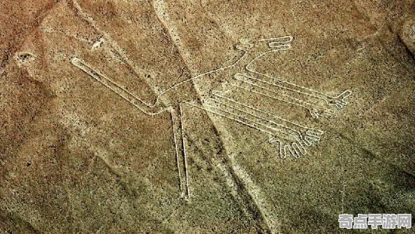 近期科学家数据支持纳斯卡线条新解假说 近期科学家数据支持纳斯卡线条新解假说