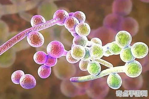 最近真菌网络罕见发生,科学家解读 最近真菌网络罕见发生,科学家解读