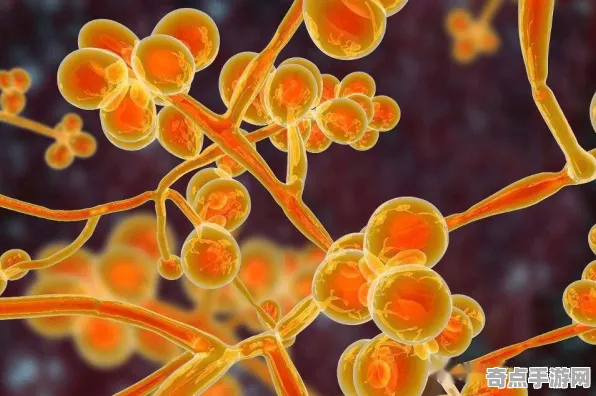 最近真菌网络罕见发生,科学家解读 最近真菌网络罕见发生,科学家解读