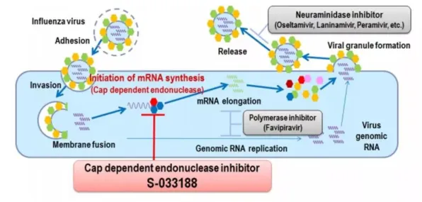 刚刚证实安慰剂效应突破极限,质量333000倍地球 刚刚证实安慰剂效应突破极限,质量333000倍地球